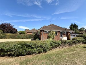 Photo 3- click for photo gallery